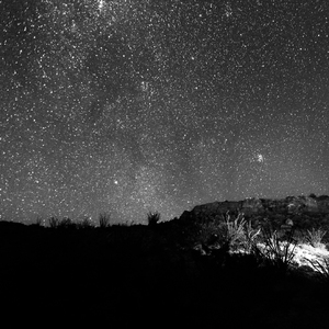 张柏芝裸被❌无码
