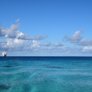 张柏芝裸被❌无码
